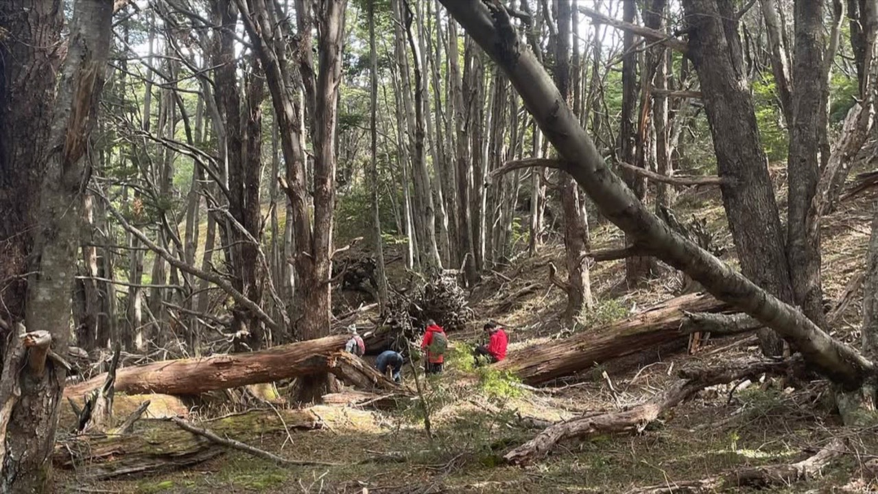 Fotografía del Parque Murta · Bosque