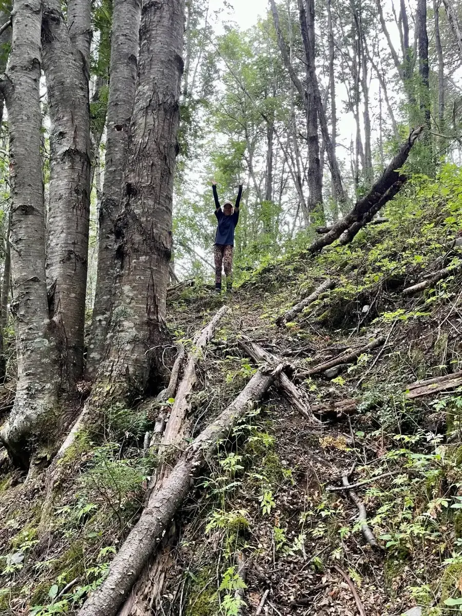 Fotografía del Parque Murta · Bosque