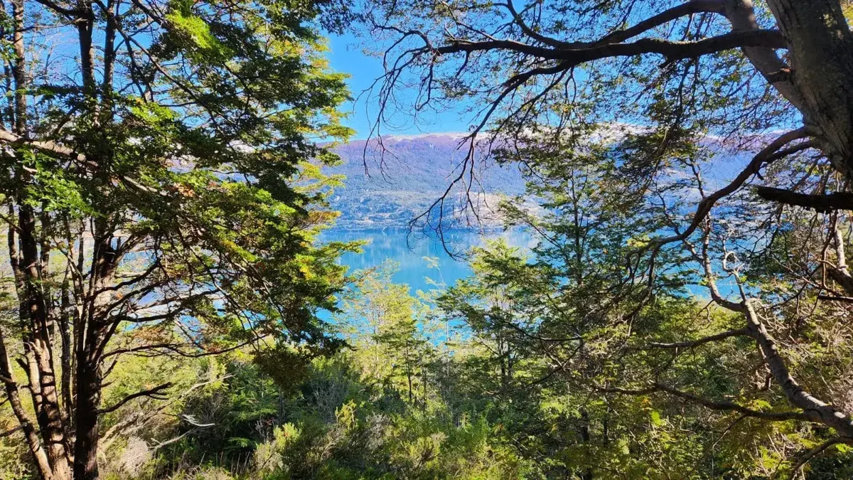 Fotografía del Parque Murta · Bosque