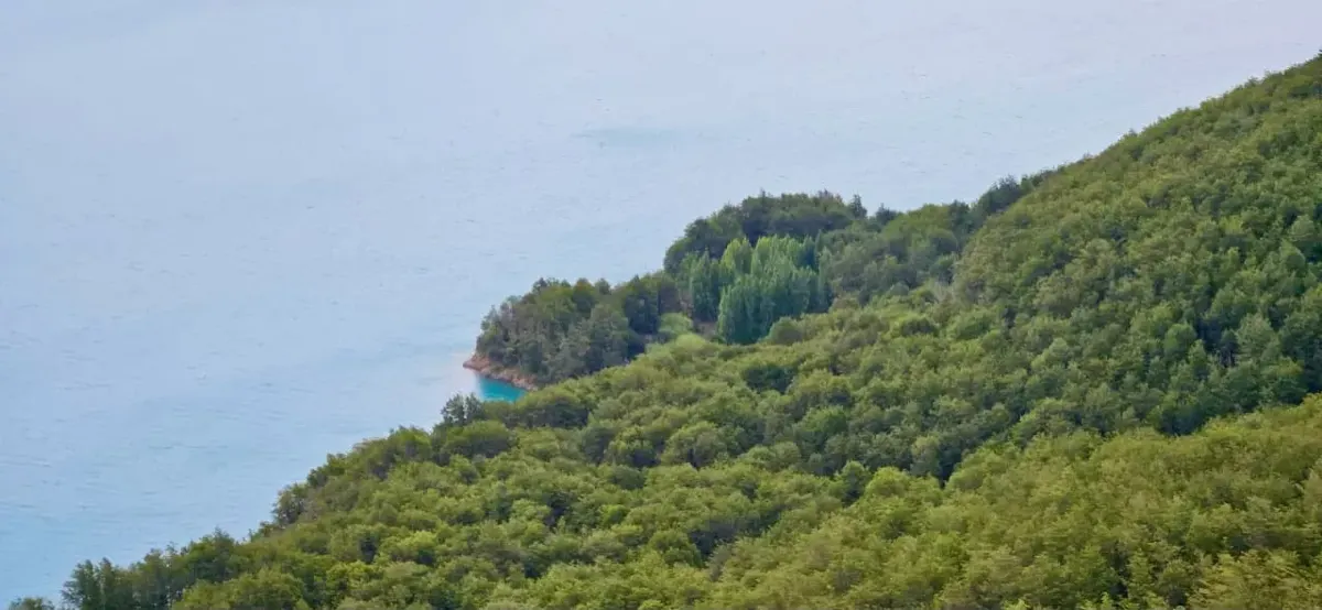 Fotografía del Parque Murta · Bosque