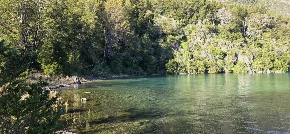 Fotografía del Parque Murta · Bosque