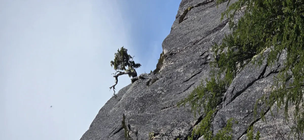 Fotografía del Parque Murta · Montaña